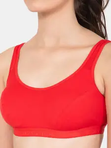 Lady Lyka Non Padded & Non Wired Seamless Cotton Bra