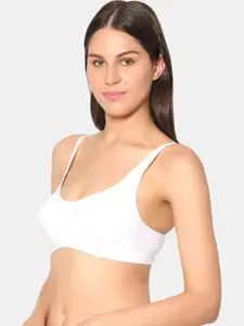 Dazzle Lightly Padded Bra