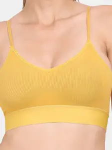 Amour Secret Pack of 2 Sports Bra - Lightly Padded