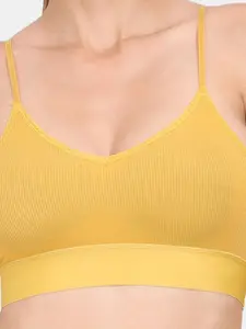 Amour Secret Pack Of 3 Lightly Padded Seamless Anti Odour Sports Bra