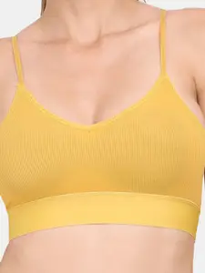 Amour Secret Pack Of 3 Lightly Padded Bra