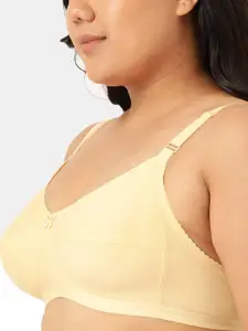 Sztori Pack of 2 Cotton T-Shirt Bra