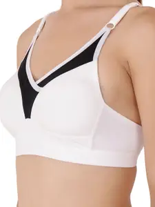 Floret Pack Of 2 Colourblocked Heavily Padded Push-Up Bra