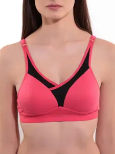 Floret Pack of 2 Heavily Padded Bra