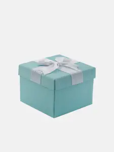 DressBerry Women Silver-Toned Analogue Watch