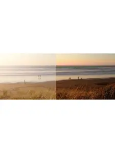 IRUS by IDEE Men Aviator Sunglasses with UV Protected Lens IRS1163C2SG