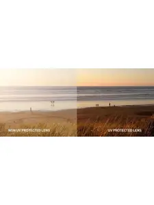 IRUS by IDEE Women Butterfly Sunglasses with UV Protected Lens IRS1172C1SG