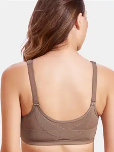 MAROON Cotton Lycra All Day Comfort Full Coverage Medium Support Seamless Push-Up Bra