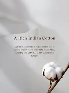 Andamen Classic Checked Cotton Casual Shirt