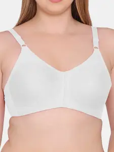 Souminie Full Coverage All Day Comfort Seamless Cups Cotton Bra