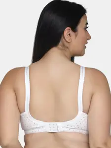 MAROON Printed All Day Comfort Non Padded Medium Coverage Cotton Everyday Bra