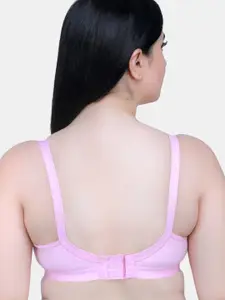 MAROON All Day Comfort Non Padded Medium Coverage Cotton Minimizer Bra