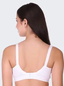 POOJA RAGENEE Pack Of 3 Non-Wired Non-Padded All Day Comfort Cotton Bra