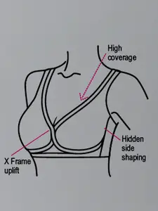 Enamor Padded Non-Wired Full Coverage Supreme Softness Bamboo Cotton T-Shirt Bra