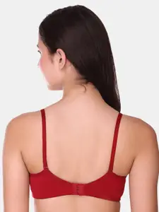 POOJA RAGENEE Pack Of 2 Full Coverage Lightly Padded All Day Comfort T-Shirt Bra