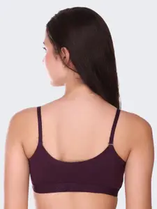 POOJA RAGENEE Pack Of 3 Full Coverage Seamless Cups Cotton Bra SQ1022_3P_WN_NBLU_MR_28B