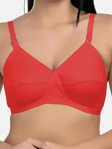 StyFun Pack Of 3 Full Coverage All Day Comfort Dry Fit Cotton Everyday Bra