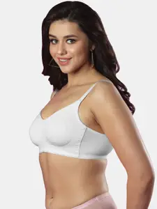 Dazzle Seamless All Day Comfort Non-Wired Non-Padded Medium Coverage Cotton Everyday Bra