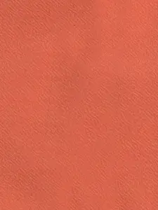 taffykids Girls Floral Printed Crop Top With Trousers