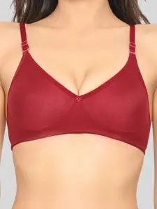 Aimly Seamless Medium Coverage All Day Comfort Non-Wired Non-Padded Cotton T-shirt Bra