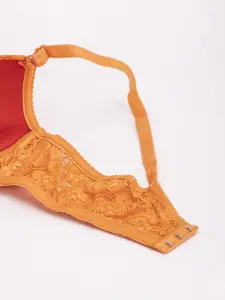 DressBerry Pack Of 3  Medium Coverage Heavily Padded Bra