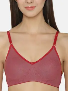 DressBerry Women Pack of 3 Non Padded Half Coverage T-shirt Bra