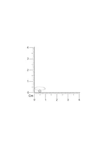 TOUCH925 Cubic Zirconia Stone Studded 925 Pure Silver Ring Nosepin