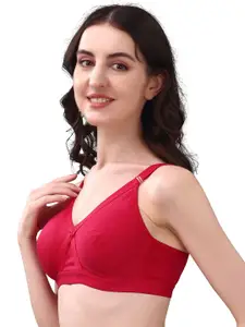 Exotica Lingerie Bra Full Coverage