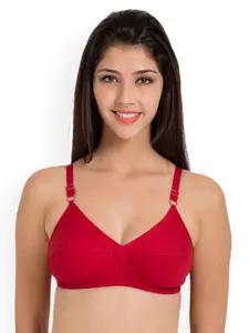 Souminie Pack of 3 Pure Cotton Non Padded Full Coverage Bra