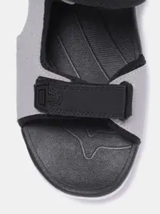 The Roadster Lifestyle Co Men Black & Grey Colourblocked Sports Sandals