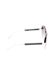 GIO COLLECTION Men Purple Browline Sunglasses GM6164C01