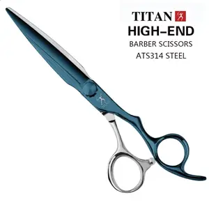 Titan Professional Hair Scissors Barber Tool Hairdressing Scissors Japan ATS314 Stainless 240808