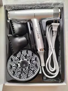 Electric Hair Dryer Negative Ion Hair Dryer Professional Salon Hair Household Strong Fast Drying Wind Gale Speed Portable Blow