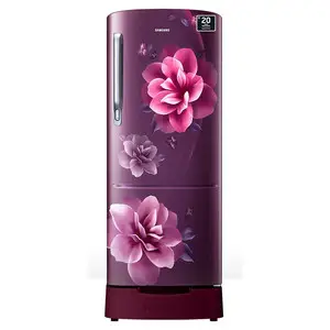 Samsung 183 litres 4 Star Single Door Refrigerator, Camellia Purple RR20C1824CR/HL