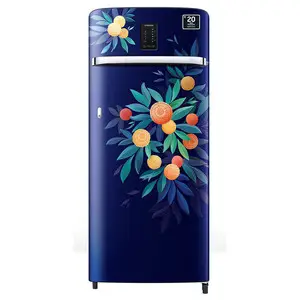 Samsung 215 litres 4 Star Single Door Refrigerator, Blue Orange Blossom RR23C2E35NK/HL