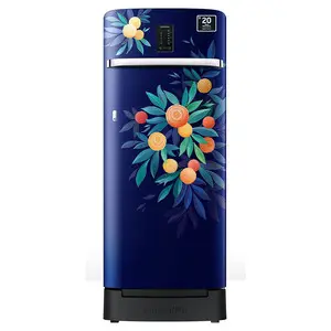 Samsung 215 litres 4 Star Single Door Refrigerator, Blue Orange Blossom RR23C2F24NK/HL
