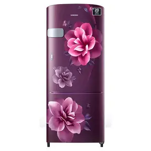 Samsung 223 litres 3 Star Single Door Refrigerator, Camellia Purple RR24C2Y23CR/NL