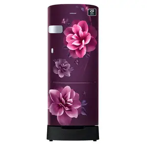 Samsung 223 litres 3 Star Single Door Refrigerator, Camellia Purple RR24C2Z23CR/NL