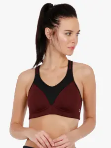 Amante Maroon & Black Colourblocked Non-Wired Lightly Padded Sports Bra ABR17116