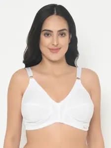 Curvy Love Plus Size White Solid Non-Wired Non Padded Everyday Bra CL-03 WHITE-C20