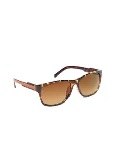 Fastrack Women Wayfarer Sunglasses P328BR3