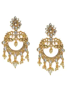 Kord Store Gold-Plated Peacock Shaped Drop Earrings
