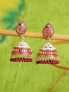 ANIKAS CREATION Maroon & Gold-Toned Dome Shaped Traditional Enamelled Jhumkas