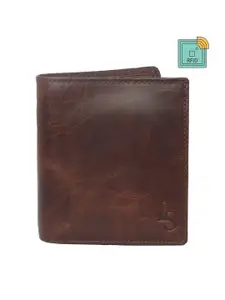 LOUIS STITCH Men Brown Solid Leather Two Fold Wallet with RFID