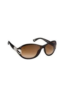 Walrus Women Brown Lens & Brown Oversized Sunglasses with UV Protected Lens