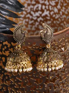 ANIKAS CREATION Gold-Toned Contemporary Pearl Studded Antique Jhumkas Earrings