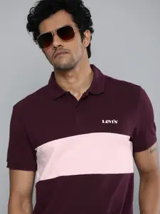 Levis Men Burgundy & Off White Colourblocked Polo Collar Pure Cotton T-shirt