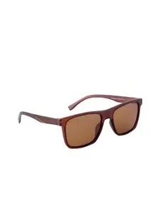GIO COLLECTION Men Brown Lens & Brown Wayfarer Sunglasses UV Protected Lens GM10009C03