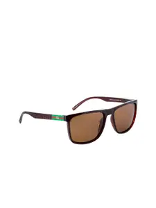 GIO COLLECTION Men Brown UV Protected Wayfarer Sunglasses GM10002C03