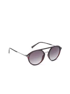 French Connection Men Purple Lens & Brown Round Sunglasses with UV Protected Lens